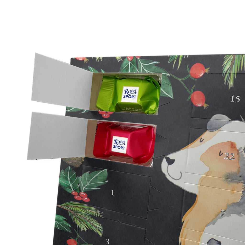 Chocolate advent calendar Dog Australia Shepherd mutt, dog sayings, love dogs, dog mama, funny gifts for dog owners, woof, what do you give a dog lover, dog breed, Christmas gifts for dogs, gifts for dogs, bag with dog print, love for dogs, hound, dog decorative items, Dog love, Australia Shepherd, Family dog, Saying, Sayings