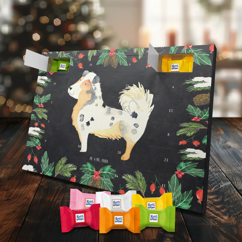 Chocolate advent calendar Dog Australia Shepherd mutt, dog sayings, love dogs, dog mama, funny gifts for dog owners, woof, what do you give a dog lover, dog breed, Christmas gifts for dogs, gifts for dogs, bag with dog print, love for dogs, hound, dog decorative items, Dog love, Australia Shepherd, Family dog, Saying, Sayings