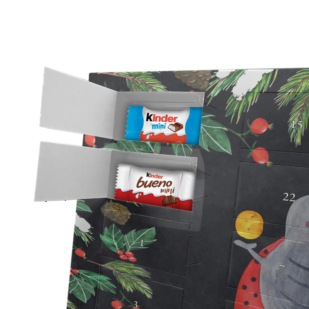 Adventskalender mit Namen Sternzeichen Zwilling Personalisierter Adventskalender, Adventskalender mit Namen, Aszendent, Sternzeichen, Astrologie, Tierkreiszeichen, Horoskop, Glückskäfer, Zwillingsschwester, Marienkäfer, Geschenk Mai, Zwilling Geschenk, Zwillinge, Geburtstag Mai, Zwillingsbruder, Geschenk Juni, Zwilling Sternzeichen