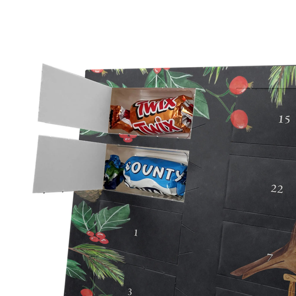Chocolate advent calendar robin Sleds Christmas time, snow, bird, sleigh