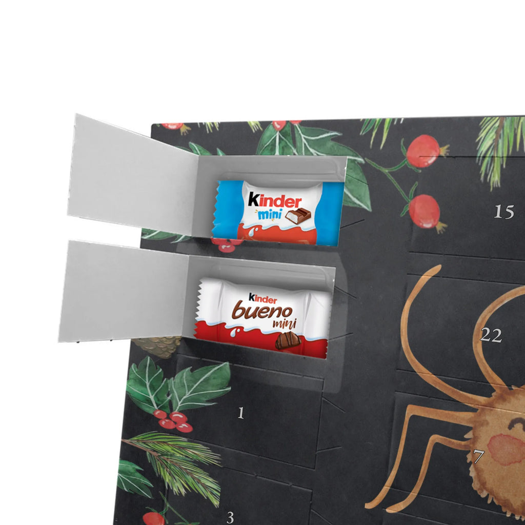 Chocolate advent calendar Spider Agatha Motivation Spider, Spider Agathe
