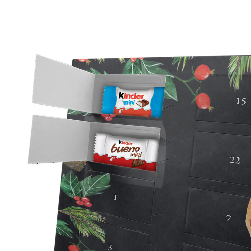 Chocolate advent calendar Owl Satisfied illustrated, nocturnal, romantic gift, gift ideas, birthday present, forest animal, bird, owl decor, Owl saying, Pun funny, Saying beautiful, Romantic, Owl deco, Wedding anniversary gift, Love saying