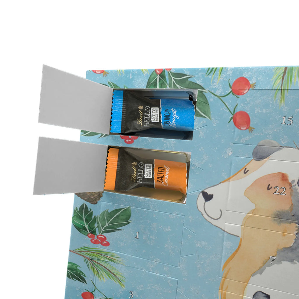 Chocolate advent calendar Dog Australia Shepherd mutt, dog sayings, love dogs, dog mama, funny gifts for dog owners, woof, what do you give a dog lover, dog breed, Christmas gifts for dogs, gifts for dogs, bag with dog print, love for dogs, hound, dog decorative items, Dog love, Australia Shepherd, Family dog, Saying, Sayings