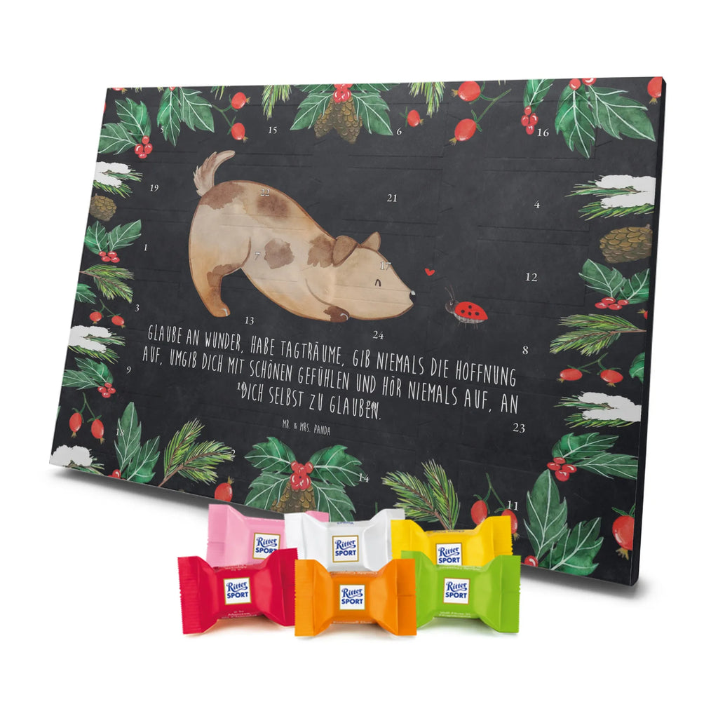 Chocolate advent calendar Dog ladybug mutt, dog sayings, love dogs, dog mama, funny gifts for dog owners, woof, what do you give a dog lover, dog breed, Christmas gifts for dogs, gifts for dogs, bag with dog print, love for dogs, hound, dog decorative items, Mongrel dog, Dog slogan, Ladybird, Sayings, Mongrel, Dogs
