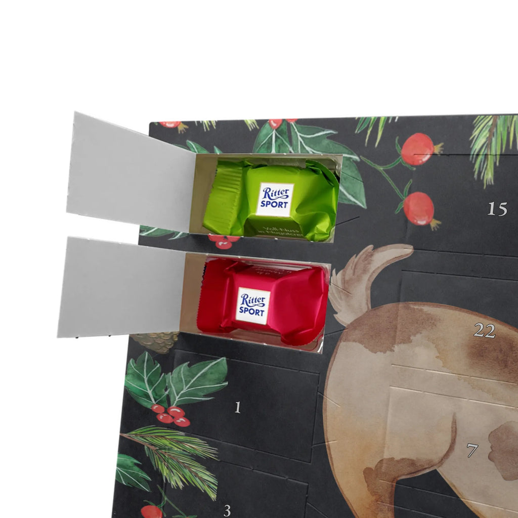 Chocolate advent calendar Dog ladybug mutt, dog sayings, love dogs, dog mama, funny gifts for dog owners, woof, what do you give a dog lover, dog breed, Christmas gifts for dogs, gifts for dogs, bag with dog print, love for dogs, hound, dog decorative items, Mongrel dog, Dog slogan, Ladybird, Sayings, Mongrel, Dogs