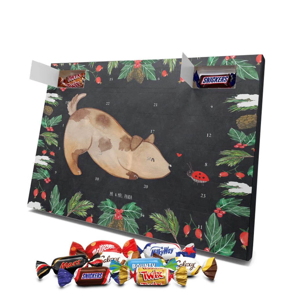 Chocolate advent calendar Dog ladybug mutt, dog sayings, love dogs, dog mama, funny gifts for dog owners, woof, what do you give a dog lover, dog breed, Christmas gifts for dogs, gifts for dogs, bag with dog print, love for dogs, hound, dog decorative items, Mongrel dog, Dog slogan, Ladybird, Sayings, Mongrel, Dogs