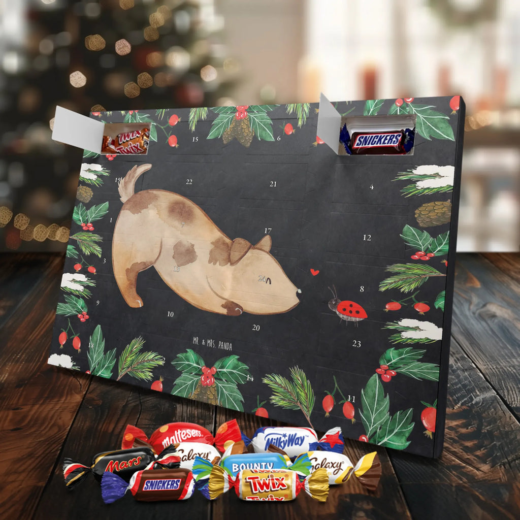 Chocolate advent calendar Dog ladybug mutt, dog sayings, love dogs, dog mama, funny gifts for dog owners, woof, what do you give a dog lover, dog breed, Christmas gifts for dogs, gifts for dogs, bag with dog print, love for dogs, hound, dog decorative items, Mongrel dog, Dog slogan, Ladybird, Sayings, Mongrel, Dogs