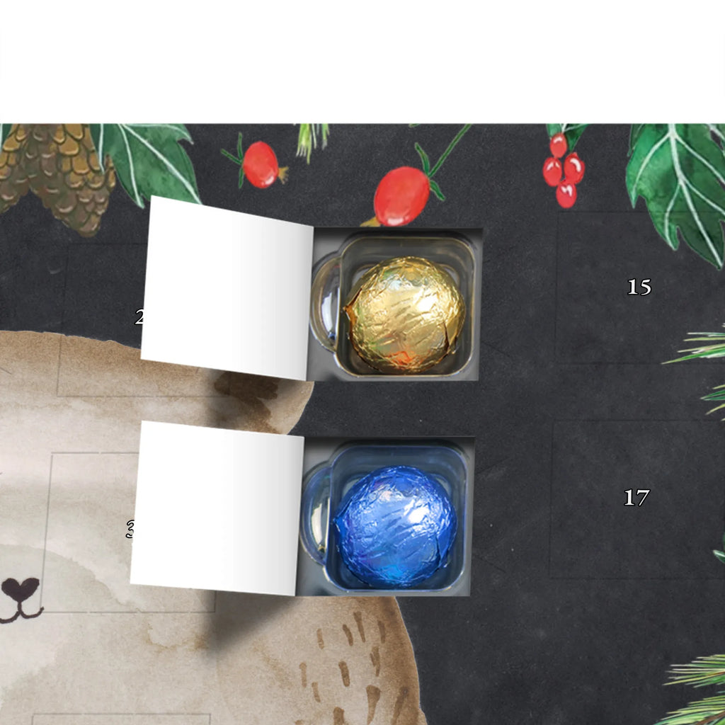 Chocolate advent calendar bear Feeling cuddly toy, teddy bear, Madness