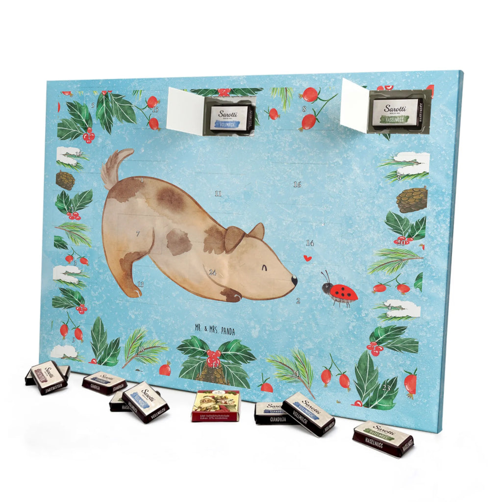 Chocolate advent calendar Dog ladybug mutt, dog sayings, love dogs, dog mama, funny gifts for dog owners, woof, what do you give a dog lover, dog breed, Christmas gifts for dogs, gifts for dogs, bag with dog print, love for dogs, hound, dog decorative items, Mongrel dog, Dog slogan, Ladybird, Sayings, Mongrel, Dogs