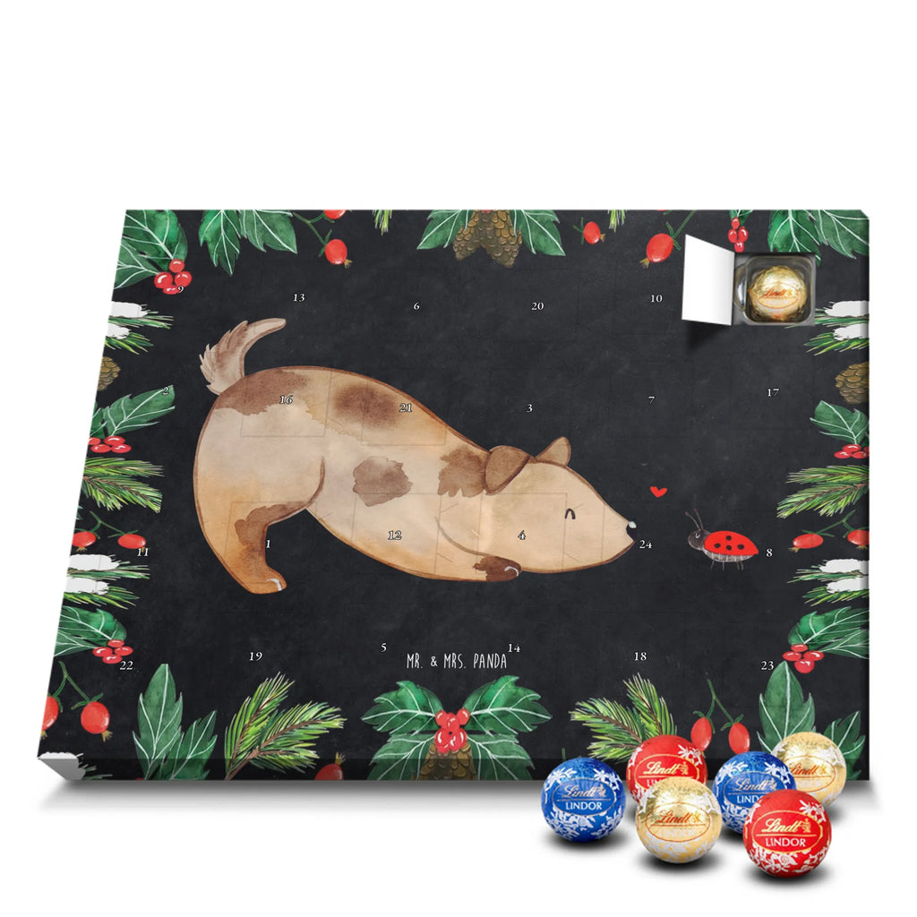 Chocolate advent calendar Dog ladybug mutt, dog sayings, love dogs, dog mama, funny gifts for dog owners, woof, what do you give a dog lover, dog breed, Christmas gifts for dogs, gifts for dogs, bag with dog print, love for dogs, hound, dog decorative items, Mongrel dog, Dog slogan, Ladybird, Sayings, Mongrel, Dogs