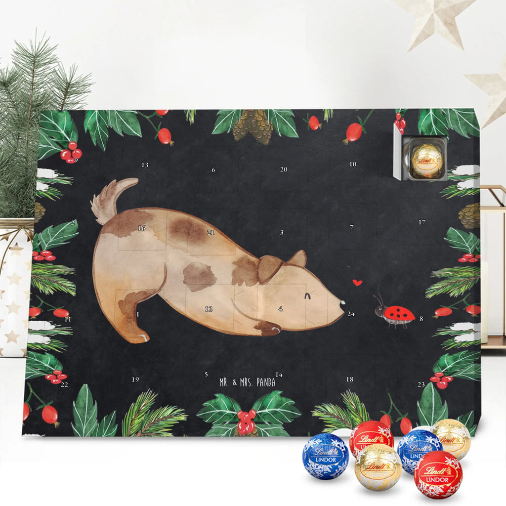 Chocolate advent calendar Dog ladybug mutt, dog sayings, love dogs, dog mama, funny gifts for dog owners, woof, what do you give a dog lover, dog breed, Christmas gifts for dogs, gifts for dogs, bag with dog print, love for dogs, hound, dog decorative items, Mongrel dog, Dog slogan, Ladybird, Sayings, Mongrel, Dogs