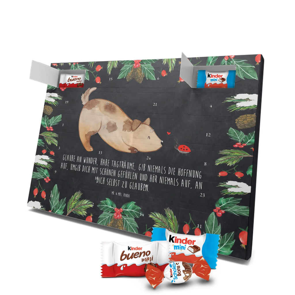 Chocolate advent calendar Dog ladybug mutt, dog sayings, love dogs, dog mama, funny gifts for dog owners, woof, what do you give a dog lover, dog breed, Christmas gifts for dogs, gifts for dogs, bag with dog print, love for dogs, hound, dog decorative items, Mongrel dog, Dog slogan, Ladybird, Sayings, Mongrel, Dogs
