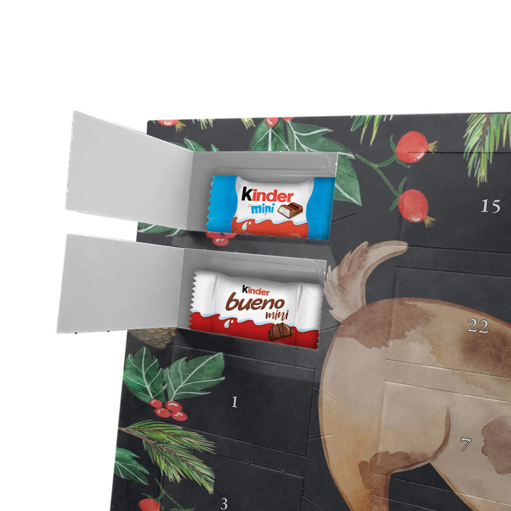 Chocolate advent calendar Dog ladybug mutt, dog sayings, love dogs, dog mama, funny gifts for dog owners, woof, what do you give a dog lover, dog breed, Christmas gifts for dogs, gifts for dogs, bag with dog print, love for dogs, hound, dog decorative items, Mongrel dog, Dog slogan, Ladybird, Sayings, Mongrel, Dogs
