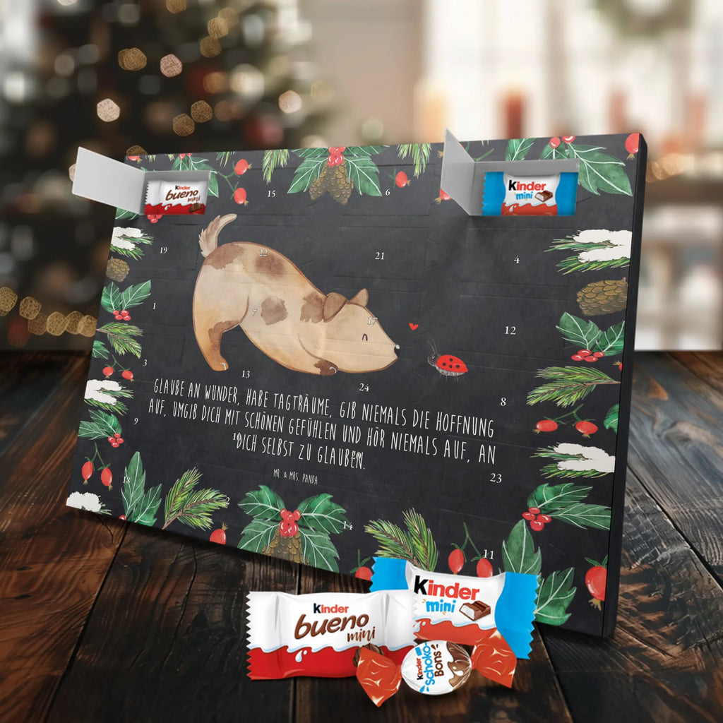 Chocolate advent calendar Dog ladybug mutt, dog sayings, love dogs, dog mama, funny gifts for dog owners, woof, what do you give a dog lover, dog breed, Christmas gifts for dogs, gifts for dogs, bag with dog print, love for dogs, hound, dog decorative items, Mongrel dog, Dog slogan, Ladybird, Sayings, Mongrel, Dogs