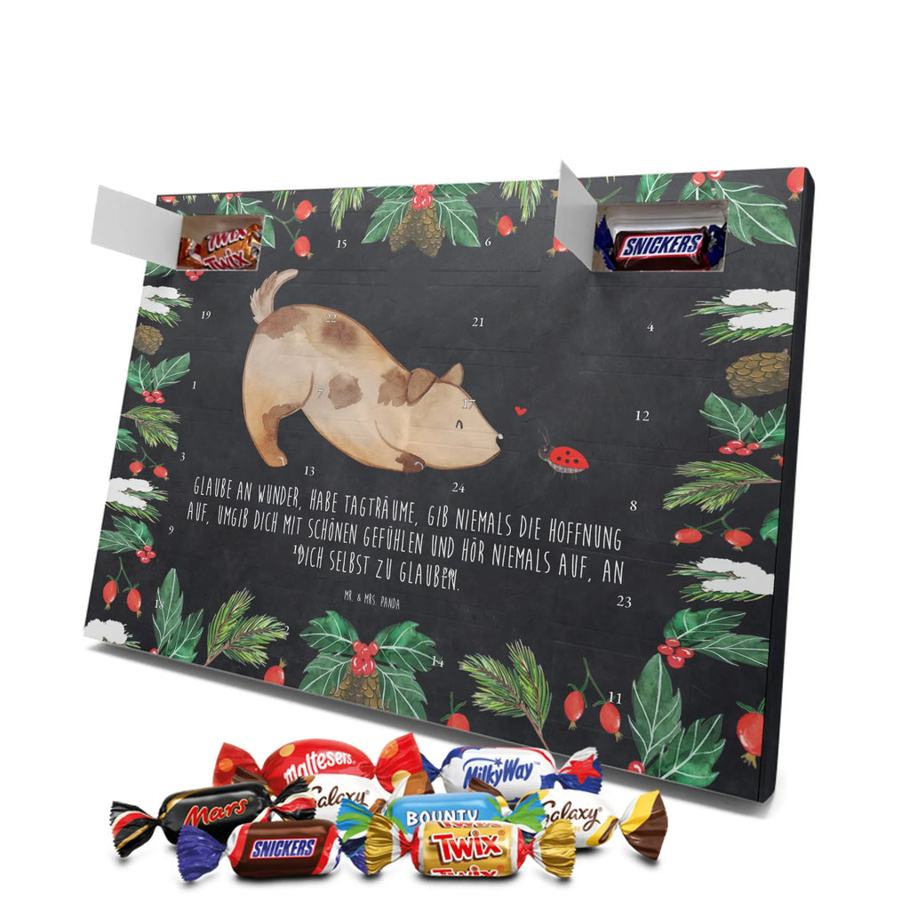 Chocolate advent calendar Dog ladybug mutt, dog sayings, love dogs, dog mama, funny gifts for dog owners, woof, what do you give a dog lover, dog breed, Christmas gifts for dogs, gifts for dogs, bag with dog print, love for dogs, hound, dog decorative items, Mongrel dog, Dog slogan, Ladybird, Sayings, Mongrel, Dogs