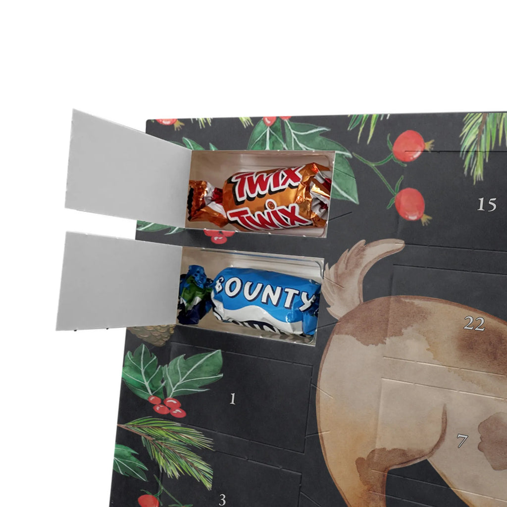 Chocolate advent calendar Dog ladybug mutt, dog sayings, love dogs, dog mama, funny gifts for dog owners, woof, what do you give a dog lover, dog breed, Christmas gifts for dogs, gifts for dogs, bag with dog print, love for dogs, hound, dog decorative items, Mongrel dog, Dog slogan, Ladybird, Sayings, Mongrel, Dogs