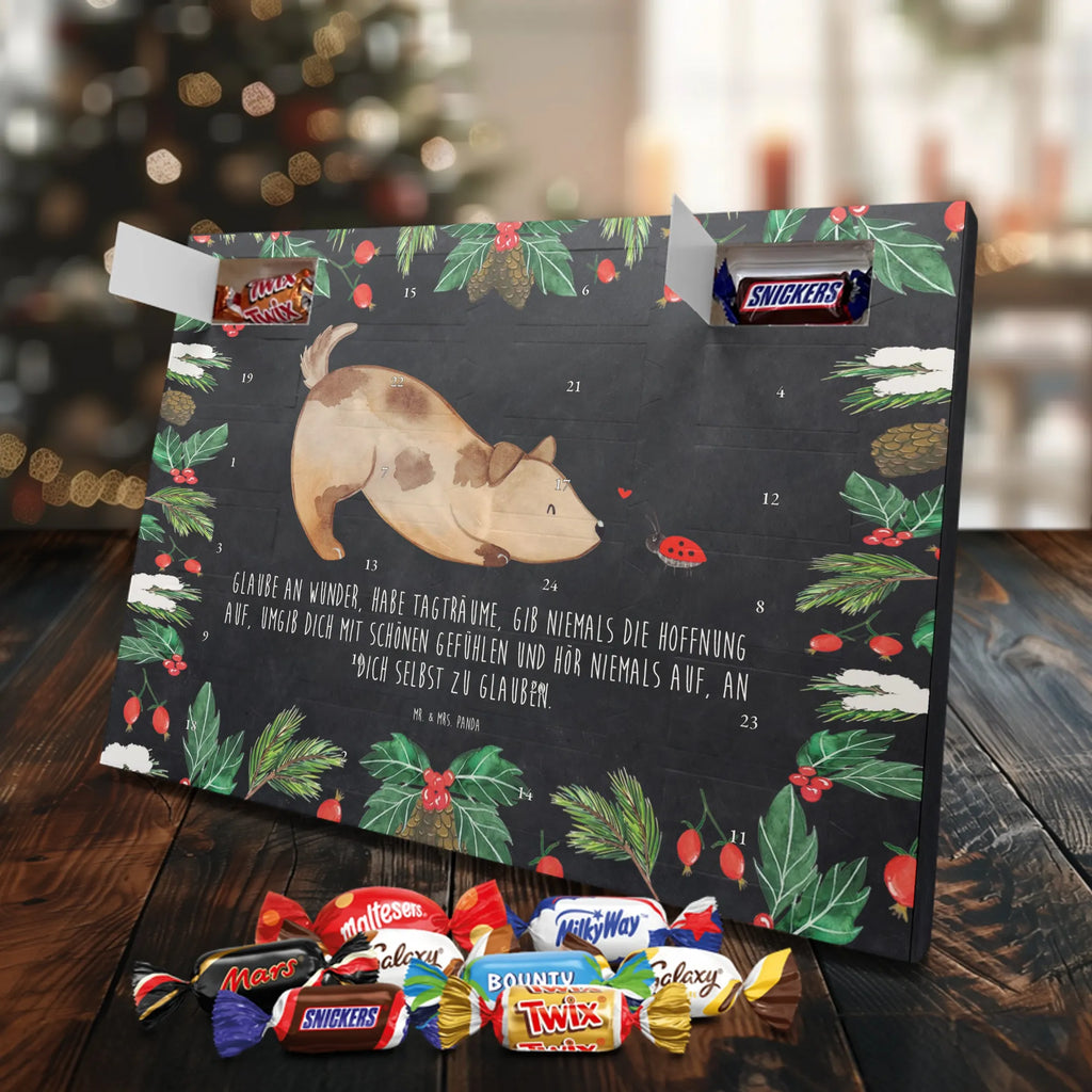 Chocolate advent calendar Dog ladybug mutt, dog sayings, love dogs, dog mama, funny gifts for dog owners, woof, what do you give a dog lover, dog breed, Christmas gifts for dogs, gifts for dogs, bag with dog print, love for dogs, hound, dog decorative items, Mongrel dog, Dog slogan, Ladybird, Sayings, Mongrel, Dogs