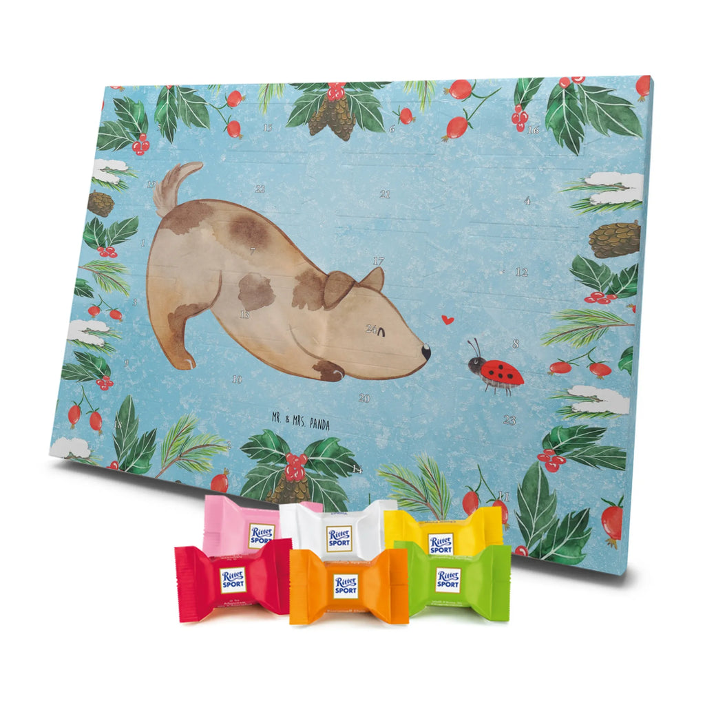 pralinen adventskalender Hund Marienkäfer kalender weihnachten, schokolade adventskalender, Schokoladen-Weihnachtskalender, Weihnachtskalender Schokolade, Schokoladen Adventskalender, Schoko Adventskalender, Adventskalender, adventskalender süßigkeiten, süßigkeiten kalender, schokokalender, adventskalender schoko, schokoladen kalender, weihnachtskalender schoko, Weihnachtskalender, Weihnachten Adventskalender, schokoladenkalender, Weihnachts Kalender, Schoko-Adventskalender, pralinen adventskalender, Adventskalender Schokolade, kalender schokolade, süßigkeiten adventskalender, schoko kalender, Schokoladen-Adventskalender, schoko weihnachtskalender, adventskalender pralinen, Tierliebhaber, Haustier, Hundebesitzer, Sprüche, Hund, Hunderasse, Hundemotiv, Marienkäfer, Mischling, Hunde, Hundespruch, Mischlinghund