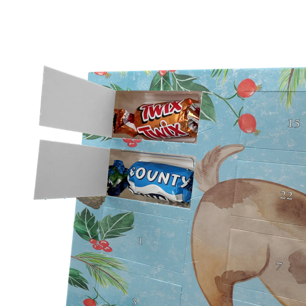 Chocolate advent calendar Dog ladybug mutt, dog sayings, love dogs, dog mama, funny gifts for dog owners, woof, what do you give a dog lover, dog breed, Christmas gifts for dogs, gifts for dogs, bag with dog print, love for dogs, hound, dog decorative items, Mongrel dog, Dog slogan, Ladybird, Sayings, Mongrel, Dogs