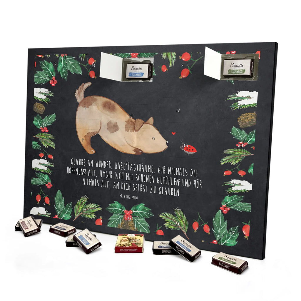 Chocolate advent calendar Dog ladybug mutt, dog sayings, love dogs, dog mama, funny gifts for dog owners, woof, what do you give a dog lover, dog breed, Christmas gifts for dogs, gifts for dogs, bag with dog print, love for dogs, hound, dog decorative items, Mongrel dog, Dog slogan, Ladybird, Sayings, Mongrel, Dogs