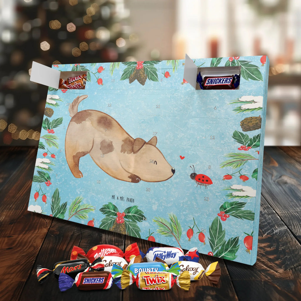 Chocolate advent calendar Dog ladybug mutt, dog sayings, love dogs, dog mama, funny gifts for dog owners, woof, what do you give a dog lover, dog breed, Christmas gifts for dogs, gifts for dogs, bag with dog print, love for dogs, hound, dog decorative items, Mongrel dog, Dog slogan, Ladybird, Sayings, Mongrel, Dogs