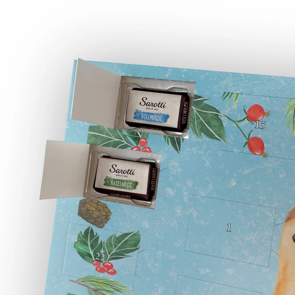  sowa zadowolona Sowa