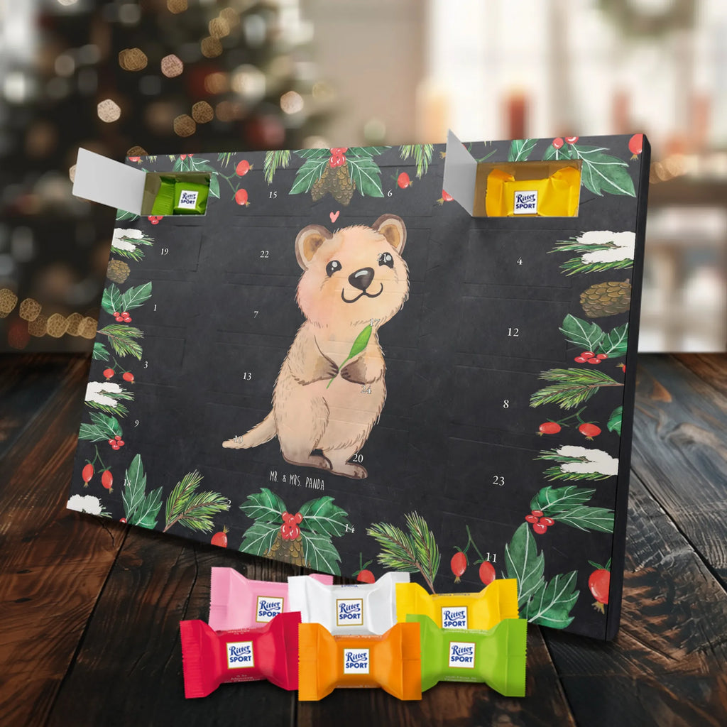 Chocolate advent calendar Quokka Happy gift ideas, gifts, small animals, good mood, cute, funny sayings, cute animal motives, hand drawn, special gifts, card, animal lover