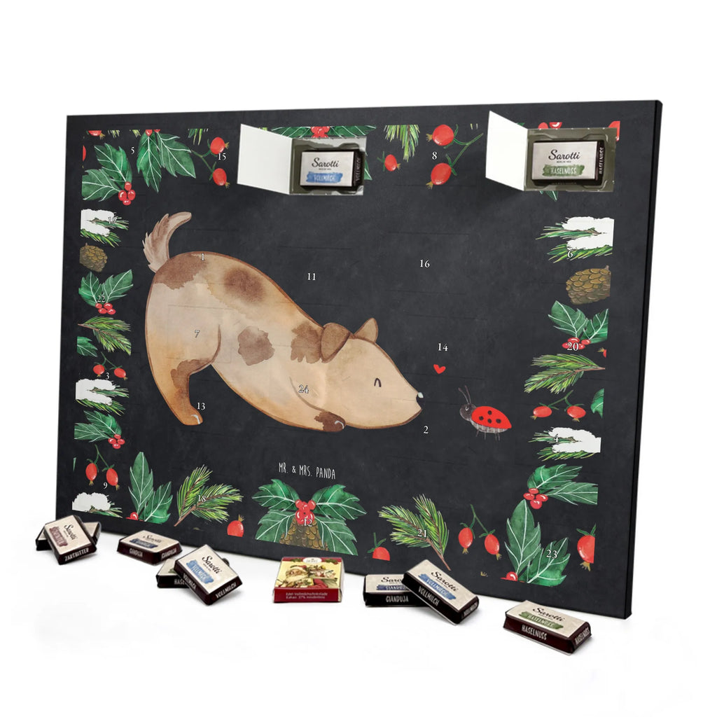 Chocolate advent calendar Dog ladybug mutt, dog sayings, love dogs, dog mama, funny gifts for dog owners, woof, what do you give a dog lover, dog breed, Christmas gifts for dogs, gifts for dogs, bag with dog print, love for dogs, hound, dog decorative items, Mongrel dog, Dog slogan, Ladybird, Sayings, Mongrel, Dogs