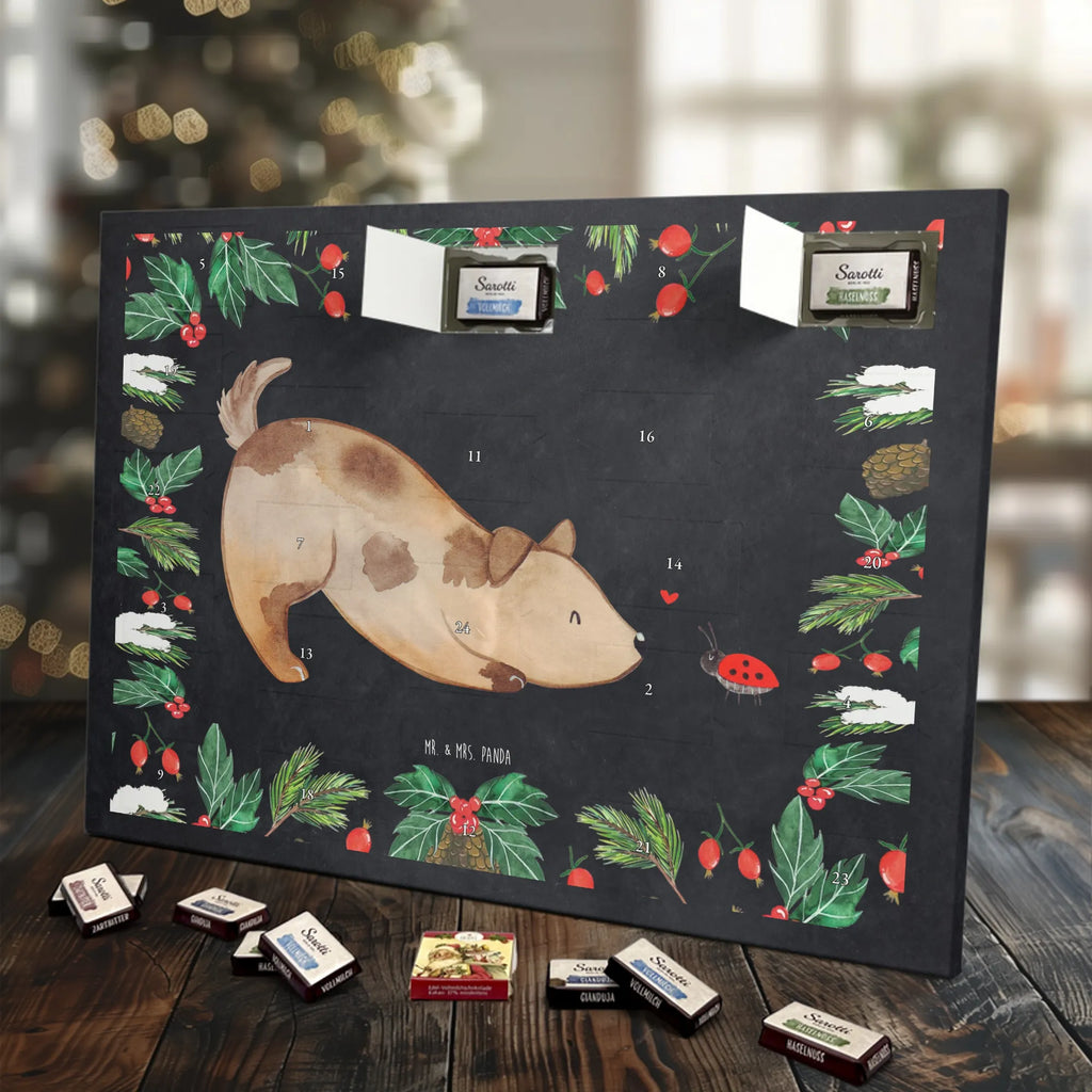 Chocolate advent calendar Dog ladybug mutt, dog sayings, love dogs, dog mama, funny gifts for dog owners, woof, what do you give a dog lover, dog breed, Christmas gifts for dogs, gifts for dogs, bag with dog print, love for dogs, hound, dog decorative items, Mongrel dog, Dog slogan, Ladybird, Sayings, Mongrel, Dogs