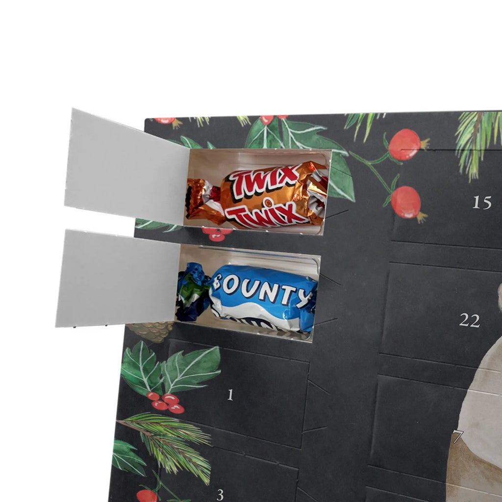 Chocolate advent calendar bear Feeling cuddly toy, teddy bear, Madness