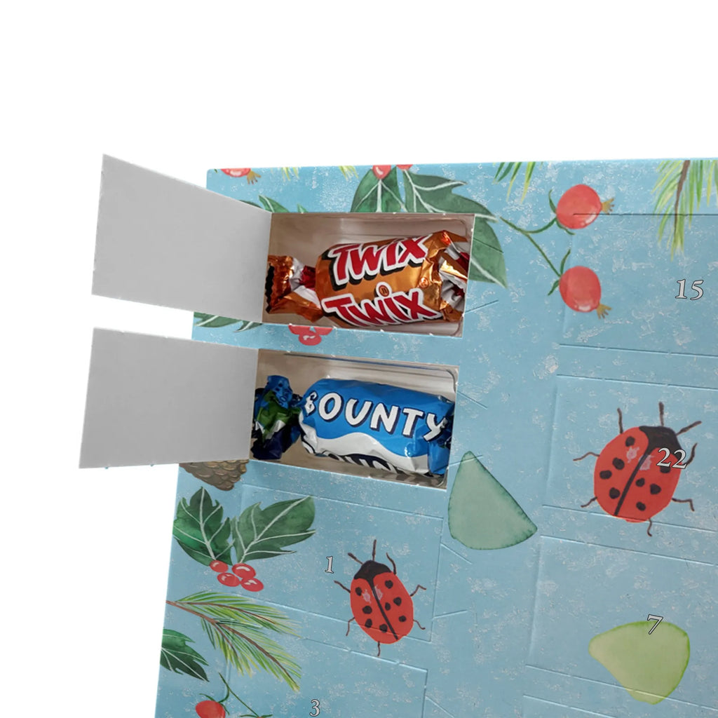 Chocolate advent calendar Ladybug Design süßigkeiten kalender, Weihnachtskalender, Schokoladen Adventskalender, süßigkeiten adventskalender, Schoko Adventskalender, Adventskalender Schokolade, kalender schokolade, schoko weihnachtskalender, kalender weihnachten, Adventskalender, schokoladen kalender, adventskalender süßigkeiten, adventskalender pralinen, Schoko-Adventskalender, schokokalender, Weihnachts Kalender, Weihnachten Adventskalender, Schokoladen-Weihnachtskalender, pralinen adventskalender, weihnachtskalender schoko, schoko kalender, adventskalender schoko, schokoladenkalender, schokolade adventskalender, Schokoladen-Adventskalender, Weihnachtskalender Schokolade, Muster, Niedlich, Verspielt, Aquarell, Marienkäfer, Grüne Punkte