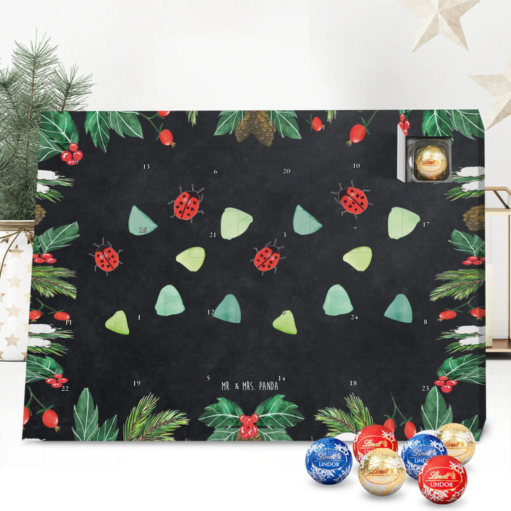 Chocolate advent calendar Ladybug Design süßigkeiten kalender, Weihnachtskalender, Schokoladen Adventskalender, süßigkeiten adventskalender, Schoko Adventskalender, Adventskalender Schokolade, kalender schokolade, schoko weihnachtskalender, kalender weihnachten, Adventskalender, schokoladen kalender, adventskalender süßigkeiten, adventskalender pralinen, Schoko-Adventskalender, schokokalender, Weihnachts Kalender, Weihnachten Adventskalender, Schokoladen-Weihnachtskalender, pralinen adventskalender, weihnachtskalender schoko, schoko kalender, adventskalender schoko, schokoladenkalender, schokolade adventskalender, Schokoladen-Adventskalender, Weihnachtskalender Schokolade, Muster, Niedlich, Verspielt, Aquarell, Marienkäfer, Grüne Punkte