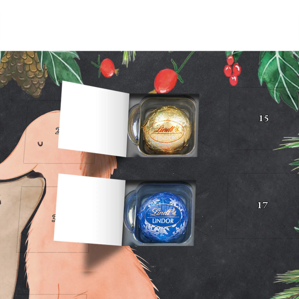 Chocolate advent calendar dogs Love mutt, dog sayings, love dogs, dog mama, funny gifts for dog owners, woof, what do you give a dog lover, dog breed, Christmas gifts for dogs, gifts for dogs, bag with dog print, love for dogs, hound, dog decorative items, dog. Dog, heart, kiss, cuddle, trust