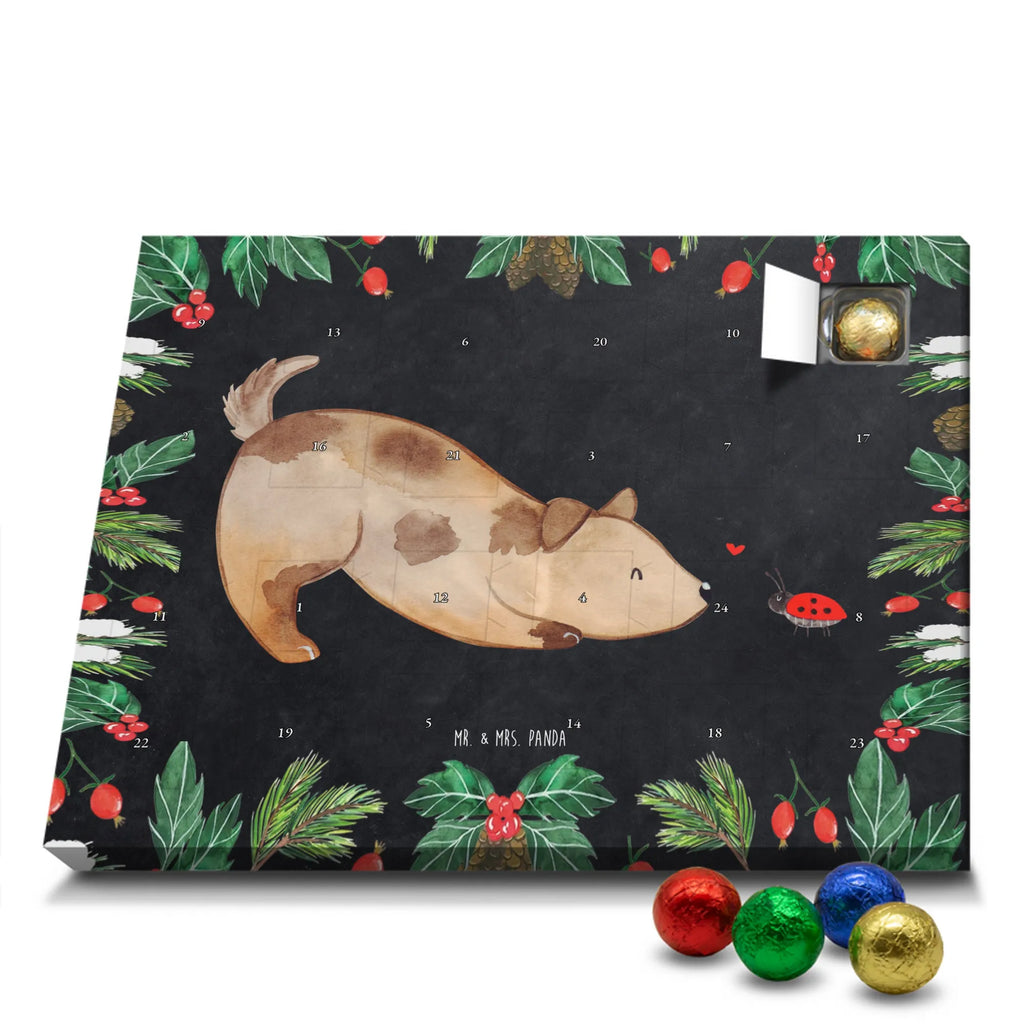 Chocolate advent calendar Dog ladybug mutt, dog sayings, love dogs, dog mama, funny gifts for dog owners, woof, what do you give a dog lover, dog breed, Christmas gifts for dogs, gifts for dogs, bag with dog print, love for dogs, hound, dog decorative items, Mongrel dog, Dog slogan, Ladybird, Sayings, Mongrel, Dogs