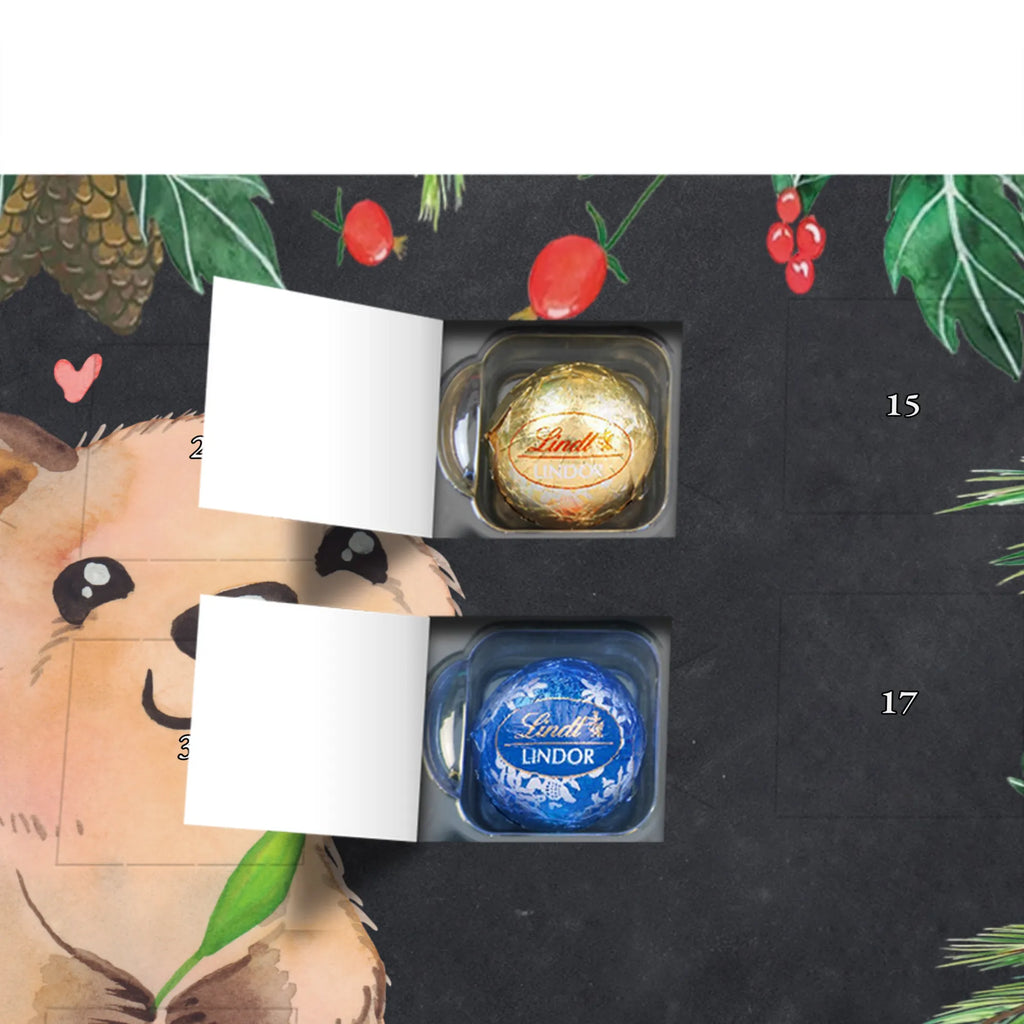 Chocolate advent calendar Quokka Happy gift ideas, gifts, small animals, good mood, cute, funny sayings, cute animal motives, hand drawn, special gifts, card, animal lover
