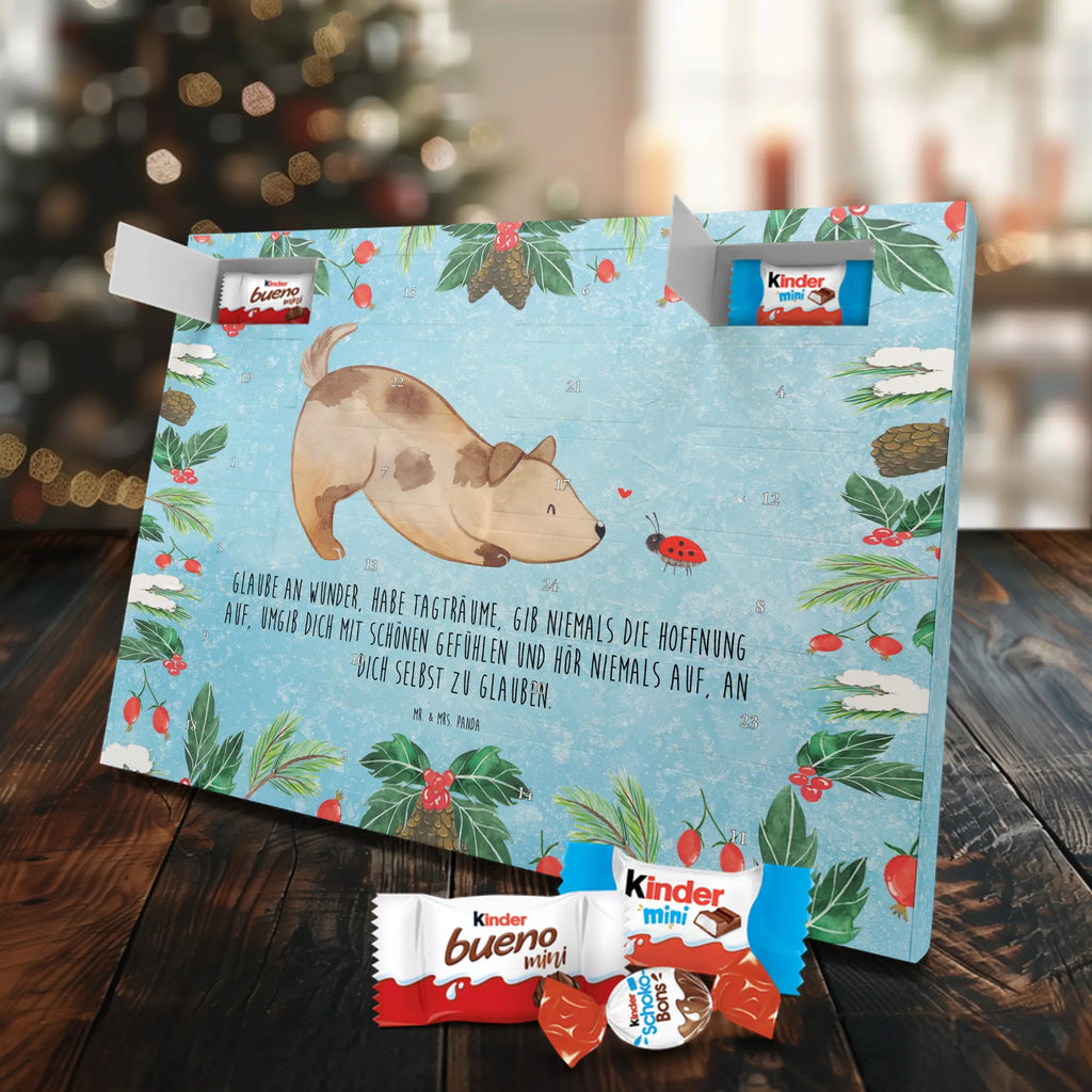 Chocolate advent calendar Dog ladybug mutt, dog sayings, love dogs, dog mama, funny gifts for dog owners, woof, what do you give a dog lover, dog breed, Christmas gifts for dogs, gifts for dogs, bag with dog print, love for dogs, hound, dog decorative items, Mongrel dog, Dog slogan, Ladybird, Sayings, Mongrel, Dogs