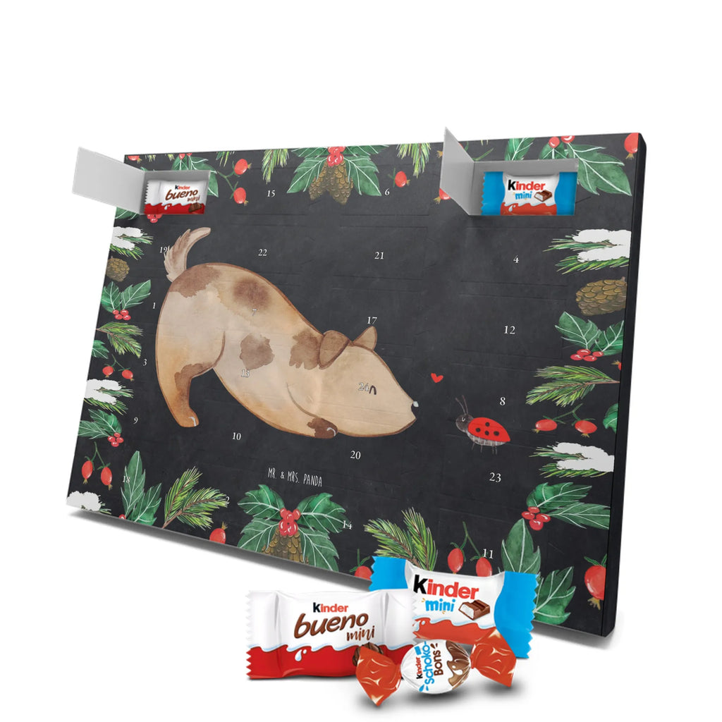 Chocolate advent calendar Dog ladybug mutt, dog sayings, love dogs, dog mama, funny gifts for dog owners, woof, what do you give a dog lover, dog breed, Christmas gifts for dogs, gifts for dogs, bag with dog print, love for dogs, hound, dog decorative items, Mongrel dog, Dog slogan, Ladybird, Sayings, Mongrel, Dogs