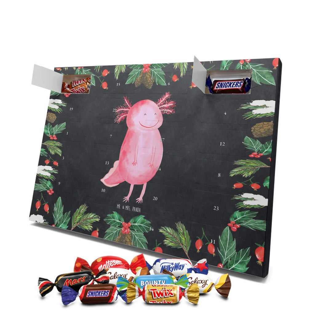 Chocolate advent calendar axolotl Happy Mexican walking fish, Axelotl, marine animals, salamander, amphibian, good mood, tail