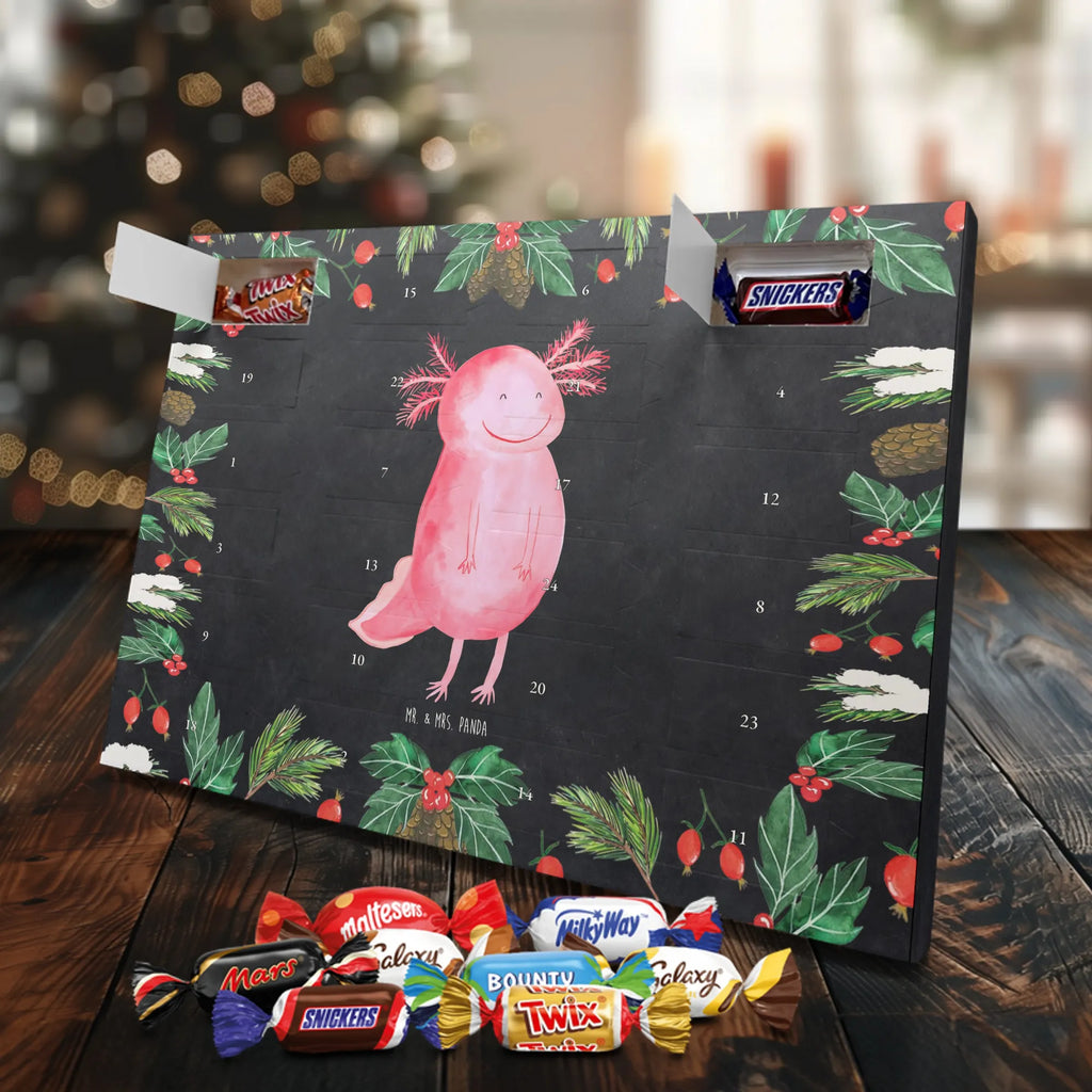 Chocolate advent calendar axolotl Happy Mexican walking fish, Axelotl, marine animals, salamander, amphibian, good mood, tail