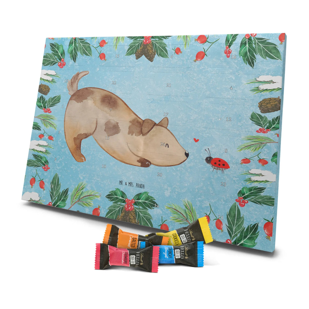 pralinen adventskalender Hund Marienkäfer kalender weihnachten, schokolade adventskalender, Schokoladen-Weihnachtskalender, Weihnachtskalender Schokolade, Schokoladen Adventskalender, Schoko Adventskalender, Adventskalender, adventskalender süßigkeiten, süßigkeiten kalender, schokokalender, adventskalender schoko, schokoladen kalender, weihnachtskalender schoko, Weihnachtskalender, Weihnachten Adventskalender, schokoladenkalender, Weihnachts Kalender, Schoko-Adventskalender, pralinen adventskalender, Adventskalender Schokolade, kalender schokolade, süßigkeiten adventskalender, schoko kalender, Schokoladen-Adventskalender, schoko weihnachtskalender, adventskalender pralinen, Tierliebhaber, Haustier, Hundebesitzer, Sprüche, Hund, Hunderasse, Hundemotiv, Marienkäfer, Mischling, Hunde, Hundespruch, Mischlinghund