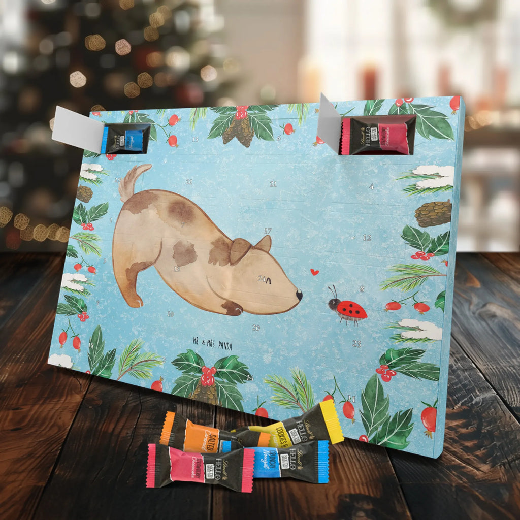 Chocolate advent calendar Dog ladybug mutt, dog sayings, love dogs, dog mama, funny gifts for dog owners, woof, what do you give a dog lover, dog breed, Christmas gifts for dogs, gifts for dogs, bag with dog print, love for dogs, hound, dog decorative items, Mongrel dog, Dog slogan, Ladybird, Sayings, Mongrel, Dogs