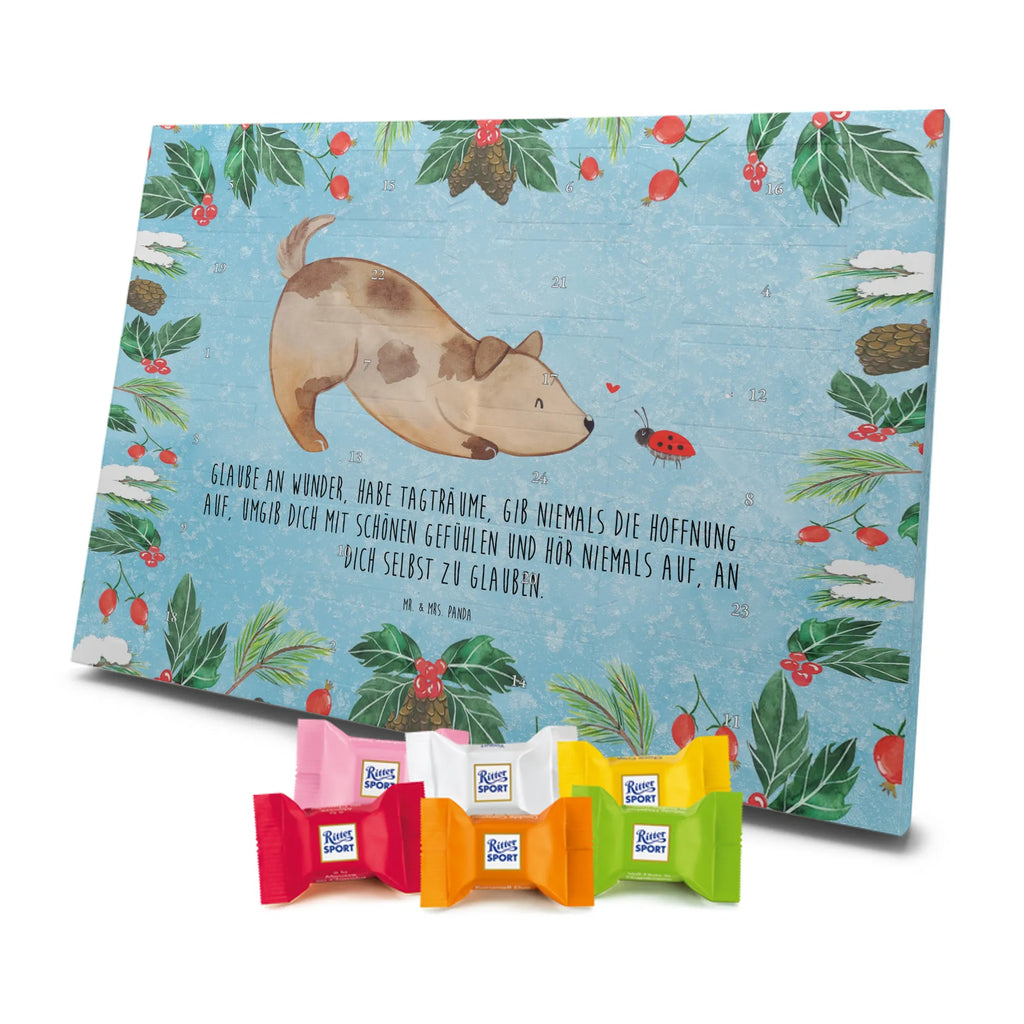 Chocolate advent calendar Dog ladybug mutt, dog sayings, love dogs, dog mama, funny gifts for dog owners, woof, what do you give a dog lover, dog breed, Christmas gifts for dogs, gifts for dogs, bag with dog print, love for dogs, hound, dog decorative items, Mongrel dog, Dog slogan, Ladybird, Sayings, Mongrel, Dogs