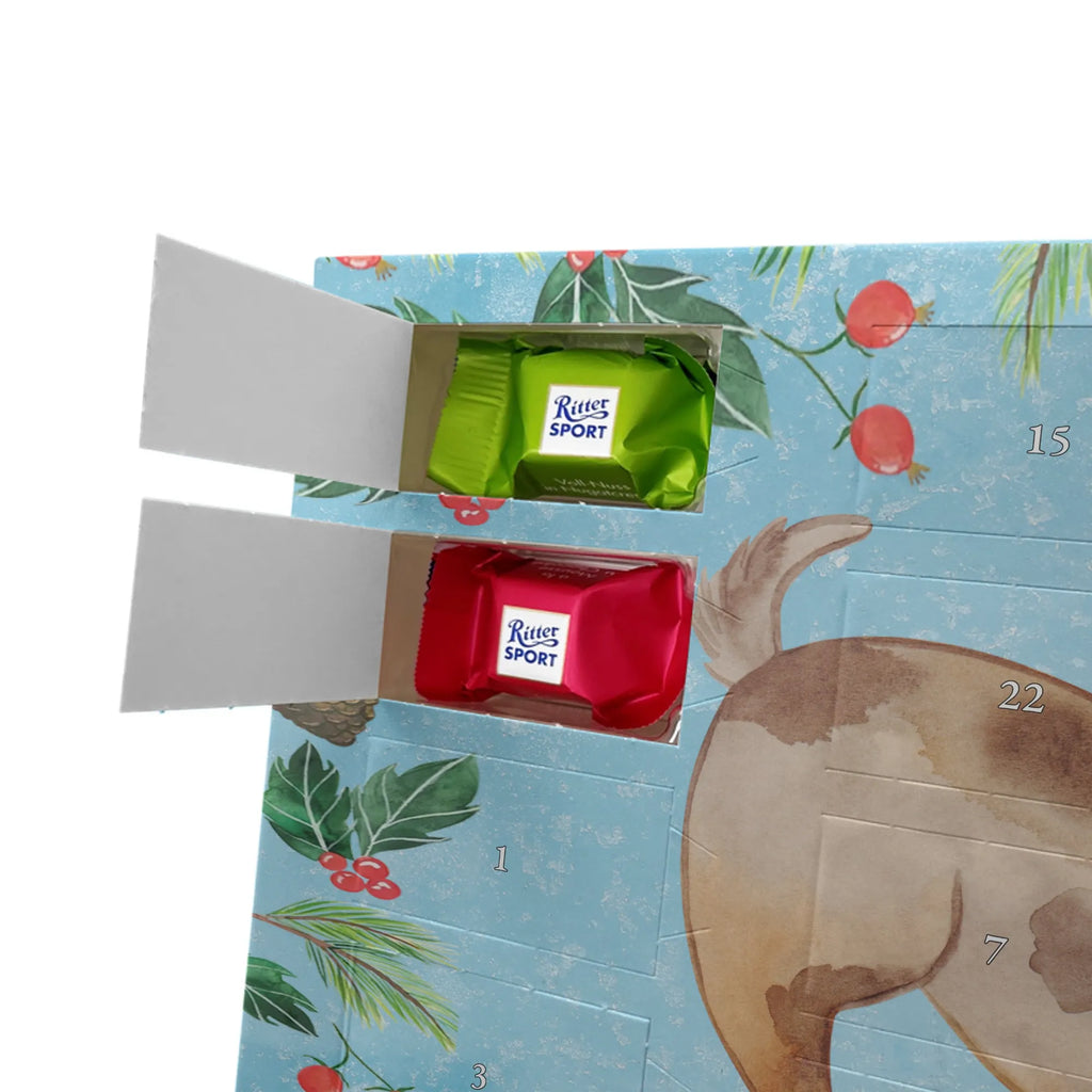 Chocolate advent calendar Dog ladybug mutt, dog sayings, love dogs, dog mama, funny gifts for dog owners, woof, what do you give a dog lover, dog breed, Christmas gifts for dogs, gifts for dogs, bag with dog print, love for dogs, hound, dog decorative items, Mongrel dog, Dog slogan, Ladybird, Sayings, Mongrel, Dogs