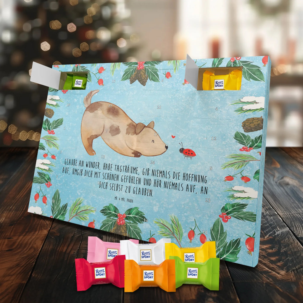 Chocolate advent calendar Dog ladybug mutt, dog sayings, love dogs, dog mama, funny gifts for dog owners, woof, what do you give a dog lover, dog breed, Christmas gifts for dogs, gifts for dogs, bag with dog print, love for dogs, hound, dog decorative items, Mongrel dog, Dog slogan, Ladybird, Sayings, Mongrel, Dogs