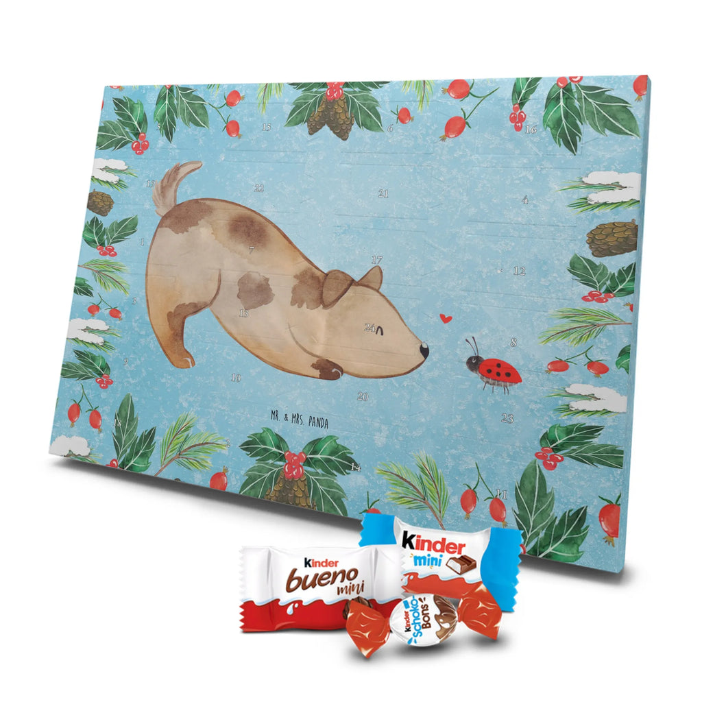 Chocolate advent calendar Dog ladybug mutt, dog sayings, love dogs, dog mama, funny gifts for dog owners, woof, what do you give a dog lover, dog breed, Christmas gifts for dogs, gifts for dogs, bag with dog print, love for dogs, hound, dog decorative items, Mongrel dog, Dog slogan, Ladybird, Sayings, Mongrel, Dogs