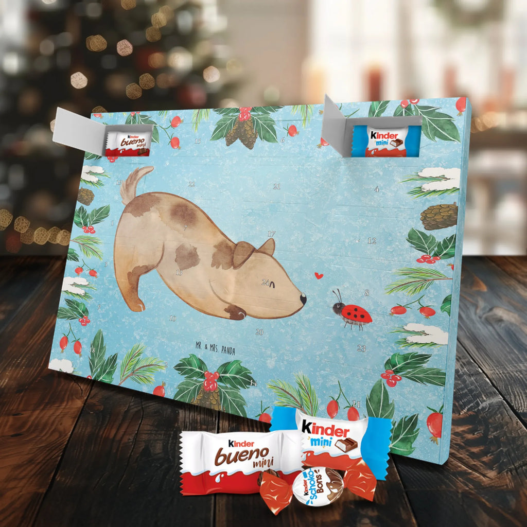 pralinen adventskalender Hund Marienkäfer kalender weihnachten, schokolade adventskalender, Schokoladen-Weihnachtskalender, Weihnachtskalender Schokolade, Schokoladen Adventskalender, Schoko Adventskalender, Adventskalender, adventskalender süßigkeiten, süßigkeiten kalender, schokokalender, adventskalender schoko, schokoladen kalender, weihnachtskalender schoko, Weihnachtskalender, Weihnachten Adventskalender, schokoladenkalender, Weihnachts Kalender, Schoko-Adventskalender, pralinen adventskalender, Adventskalender Schokolade, kalender schokolade, süßigkeiten adventskalender, schoko kalender, Schokoladen-Adventskalender, schoko weihnachtskalender, adventskalender pralinen, Tierliebhaber, Haustier, Hundebesitzer, Sprüche, Hund, Hunderasse, Hundemotiv, Marienkäfer, Mischling, Hunde, Hundespruch, Mischlinghund