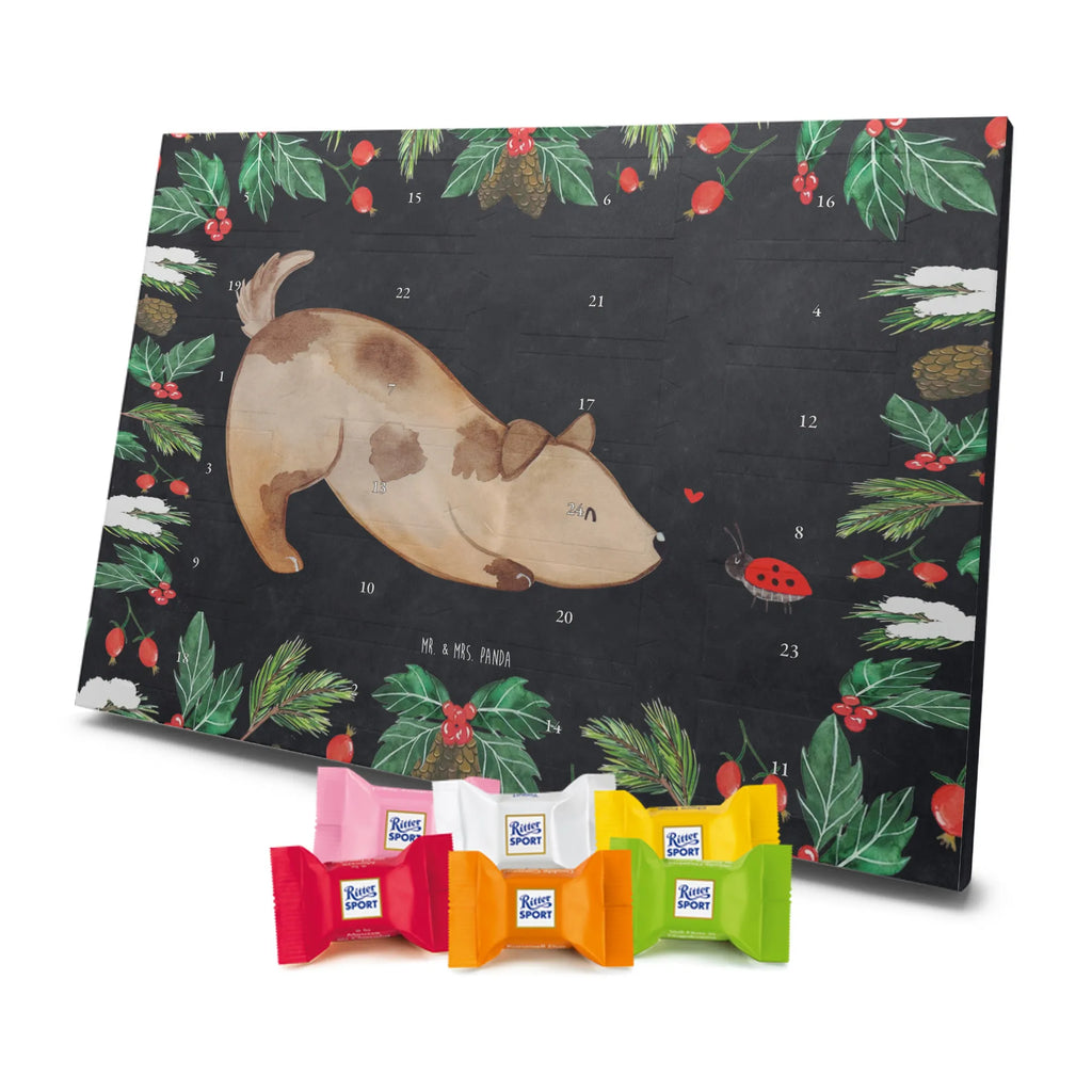 Chocolate advent calendar Dog ladybug mutt, dog sayings, love dogs, dog mama, funny gifts for dog owners, woof, what do you give a dog lover, dog breed, Christmas gifts for dogs, gifts for dogs, bag with dog print, love for dogs, hound, dog decorative items, Mongrel dog, Dog slogan, Ladybird, Sayings, Mongrel, Dogs