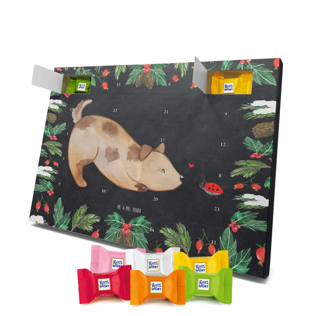 Chocolate advent calendar Dog ladybug mutt, dog sayings, love dogs, dog mama, funny gifts for dog owners, woof, what do you give a dog lover, dog breed, Christmas gifts for dogs, gifts for dogs, bag with dog print, love for dogs, hound, dog decorative items, Mongrel dog, Dog slogan, Ladybird, Sayings, Mongrel, Dogs