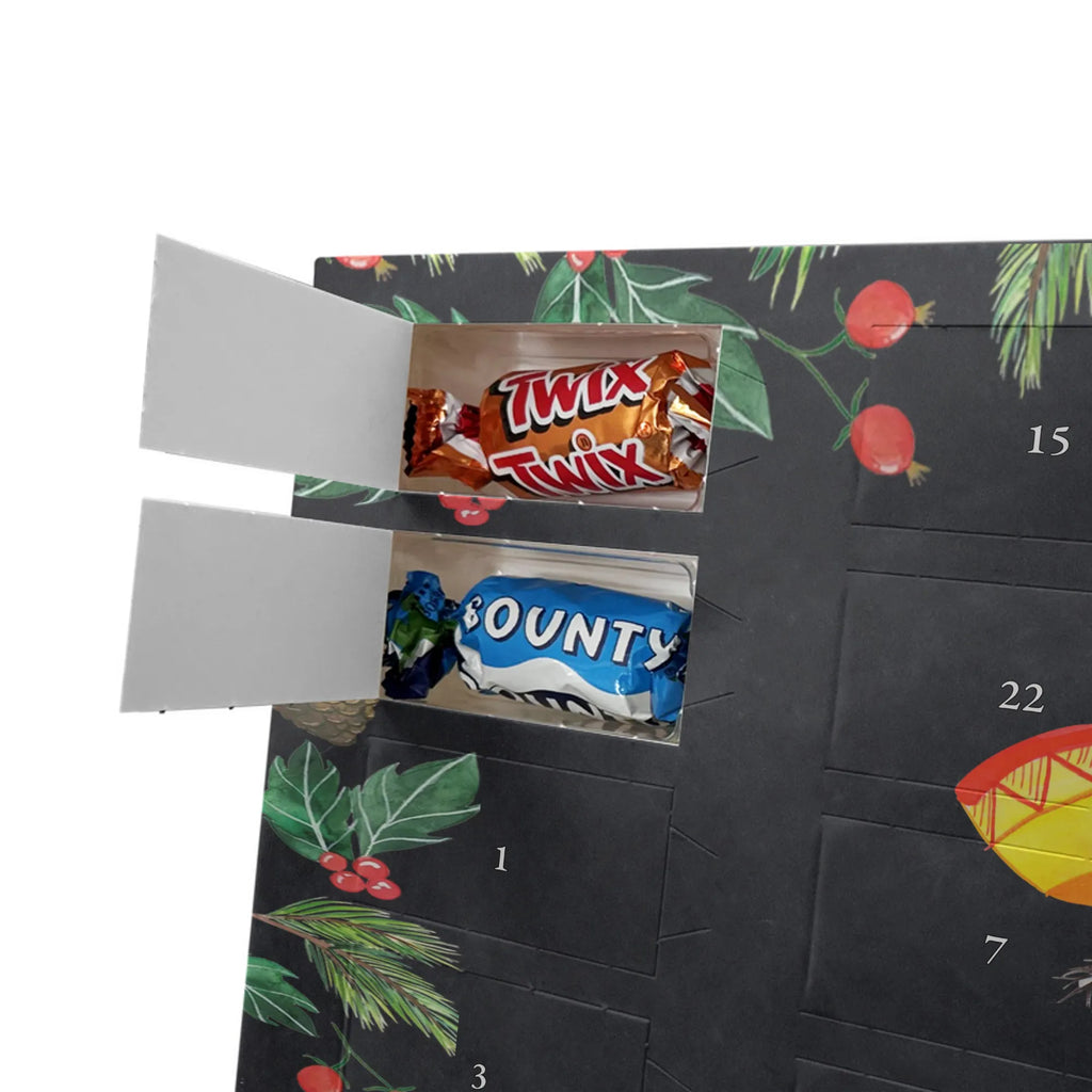 Chocolate advent calendar axolotl tequila Mexican walking fish, Axelotl, marine animals, salamander, Fire Salamander, Fire Dragon, Lemon, Amphibian, Tail Lurch, Saying