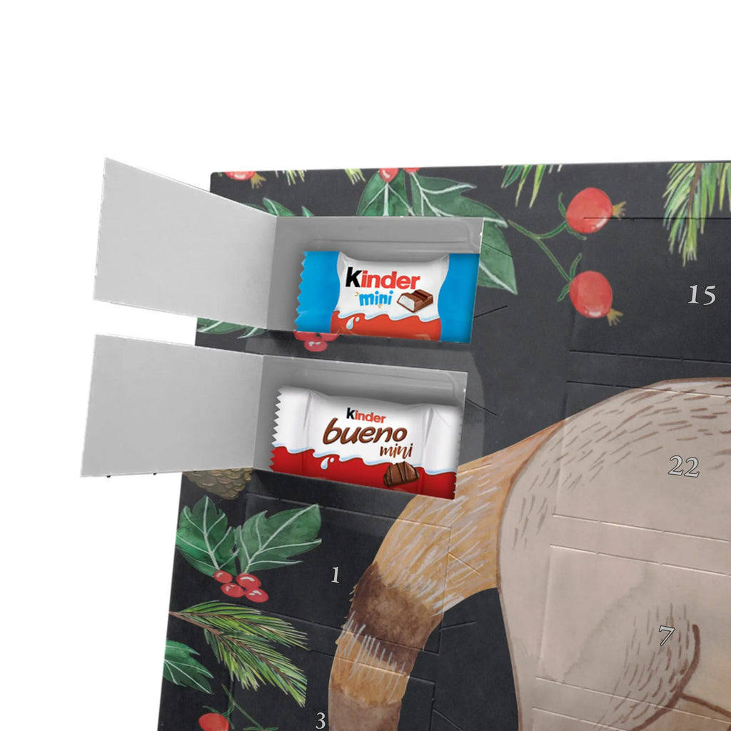 Chocolate advent calendar Coati gift ideas, gifts, small animals, good mood, cute, funny sayings, cute animal motives, hand drawn, special gifts, card, animal lover, Nose bear, trunk bear